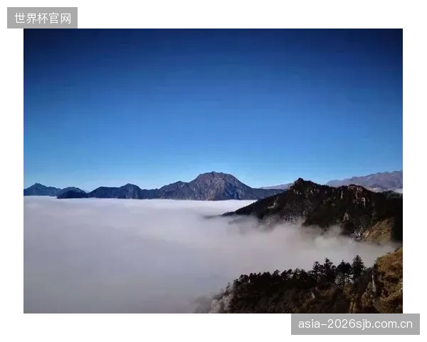 中国平安针对滑雪场索道资产推出新险种，将阵列式磁粉探伤报告作为差异化费率的核心依据